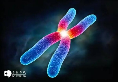 西安代怀公司：这些调理卵泡质量的中药方子你知道吗？不妨试试看