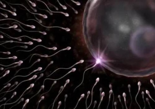 西安捐卵供卵：带避孕环之后仍然怀孕了该怎么办？