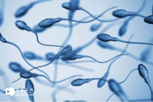 早产儿可以申请大病救助吗？这样能够尽量避免婴儿早产