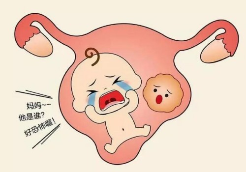 西安代生供卵公司：女性取卵后冻胚移植的流程是什么样子的-要做些什么-