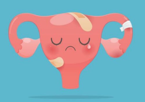 西安代怀生男孩价格：孕23周胎儿不一定缺氧？了解与sd比值大于3之间的关系