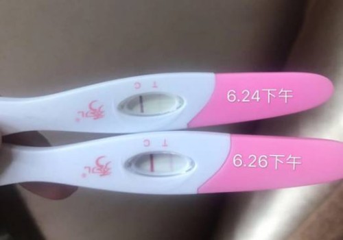 西安供精代怀：2023上海六院南院试管婴儿科普知识导航，助孕成功率评估