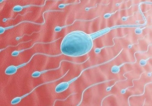 西安助孕代怀：促排第八天卵泡正常值多大,促排内膜多厚算是正常的